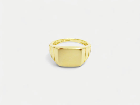 R04 ring équestre